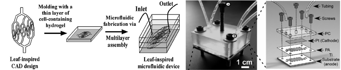 device design